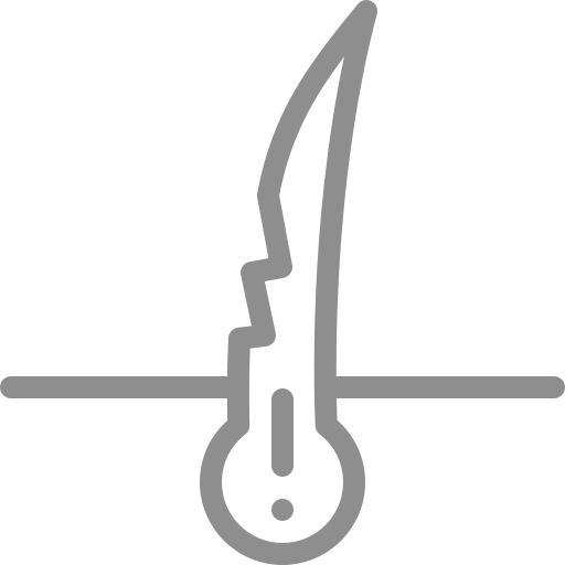 Scalp icon